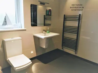 a bathroom with a toilet and a sink and a mirror at Boleyn house in Bodmin