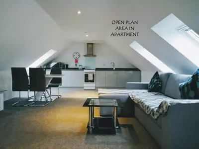 a living room with a couch and an open plan area in an apartment at Boleyn house in Bodmin