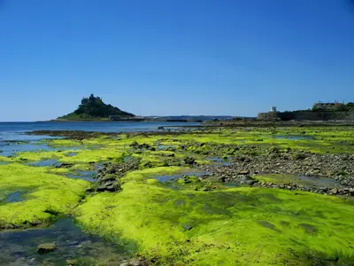a beach with green grass and the ocean at Wheal Rodney Holiday Park in Marazion