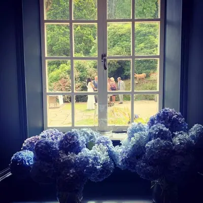 a window with a bunch of blue flowers in front of it at Boscundle Manor in St Austell