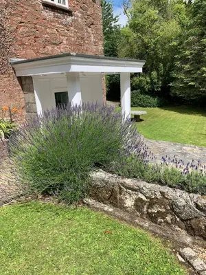a garden with a bench and purple flowers at Boscundle Manor in St Austell