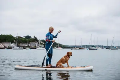 a woman and a dog on a paddle board at Greenbank Hotel in Falmouth