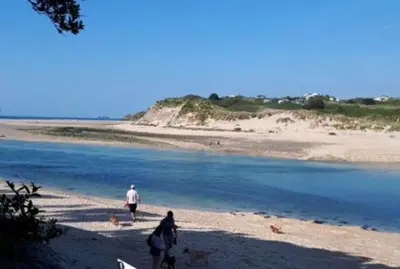 two people walking on a beach with two dogs at The garden apartment in St Ives