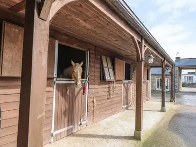 a horse sticking its head out the window of a stable at Dexter in Penryn