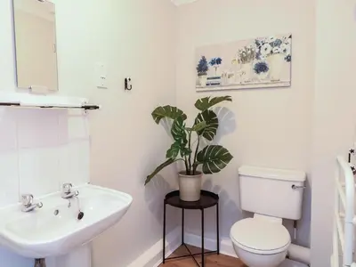 a bathroom with a toilet and a sink and a plant at Heather's Cottage in Budock Water