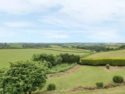an overhead view of a green field with trees at Higher Kernick Farm in Launceston