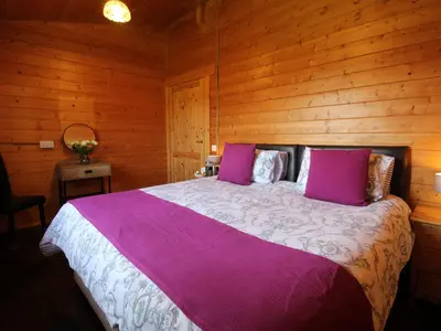 a bedroom with a large bed in a wooden room at Cherry Lodge in Bodmin