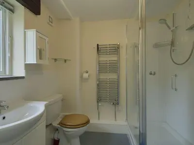a bathroom with a toilet and a shower and a sink at The Old Engine House in Bodmin