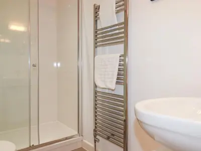 a bathroom with a shower and a sink and a toilet at Buena Vista in Newquay