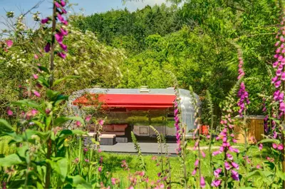 a bus is parked in a garden with pink flowers at Vintage glamping Airstream with Farm Animals in Penryn