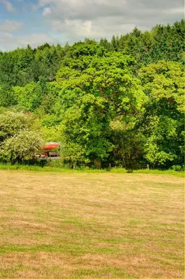 a field with a tree and a building in the background at Vintage glamping Airstream with Farm Animals in Penryn