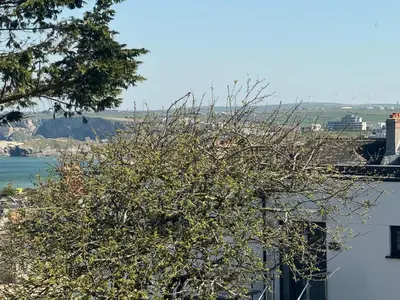 a tree in front of a building with a view at OYO Shore Surf Lodge in Newquay