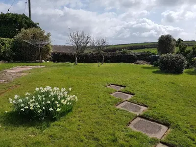 a garden withestones and flowers in the grass at Sunways in Padstow