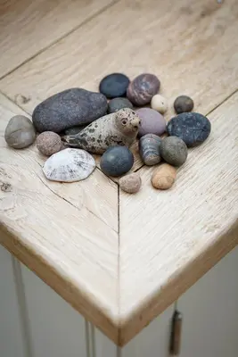 a group of rocks and a bird on a wooden table at The Home Barn at Cornish Barn Holidays in Perranwell