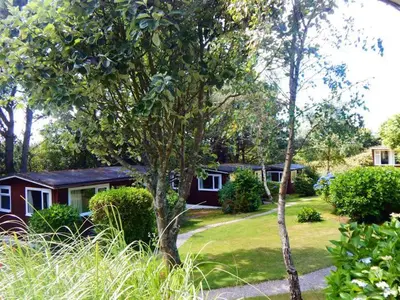 a house with a tree in front of a yard at Mount Hawke Holiday Bungalows in Porthtowan