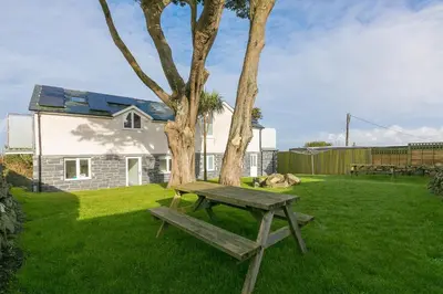 a wooden bench next to a tree in a yard at Tara in St Ives