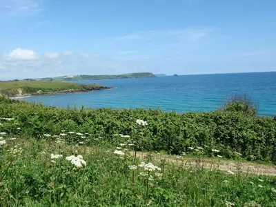 a field of flowers in front of a body of water at Stones Throw in Saint Mawes
