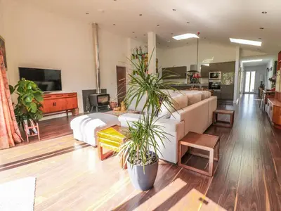 a living room with a couch and two potted plants at Chy Lagen Hos in Newquay