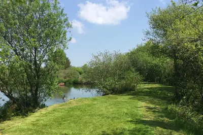 a river with two people swimming in the water at St. Tinney Farm in Bude