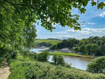a view of the river derwent from the tissington trail at Haybarn in Fowey