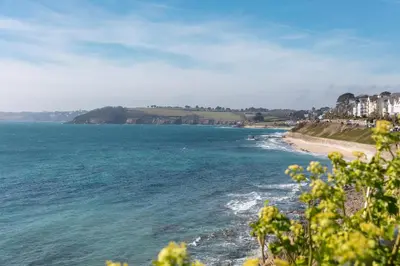 a view of a beach with houses and the ocean at Chelsea House Holiday Apartments in Falmouth