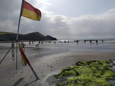 a flag on a beach with people in the water at Lower Tresmorn Farmhouse in Crackington Haven