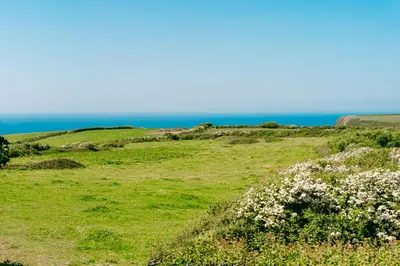 a field of grass with the ocean in the background at Lower Tresmorn Farmhouse in Crackington Haven