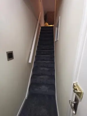 a staircase in a house with blue carpeted stairs at Aquarius B&B in Newquay