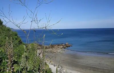 a view of a beach with the ocean at dog friendly nancecliff cottages in Looe