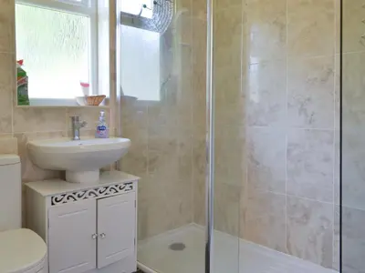 a bathroom with a shower and a sink and a toilet at Westville By The Stream in Saint Cleer