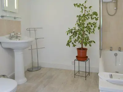 a bathroom with a sink and a potted plant at The Farmhouse in Lostwithiel