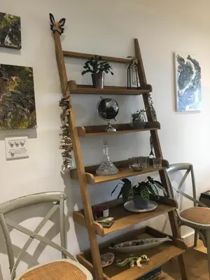 a wooden shelf with plants on a wall at Ocean View Beach Rd in Newquay