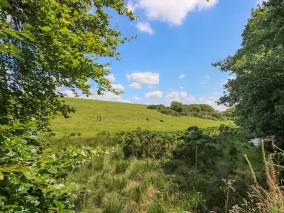 a field of green grass with trees in the foreground at Oaklands in Camelford