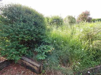 a garden with a hedge and plants in a field at Trenant View in Wadebridge