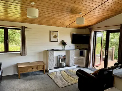 a living room with a fireplace and a tv at Willow Lodge in Falmouth