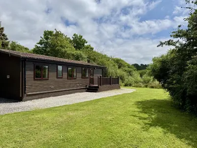 a small cabin in a field with a grass yard at Willow Lodge in Falmouth