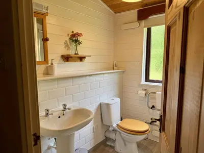 a bathroom with a toilet and a sink at Willow Lodge in Falmouth