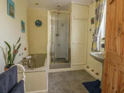 a bathroom with a shower and a sink at Woolly Welcome in Penzance