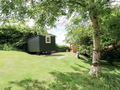 a green shed in a yard with a tree at Orchard in Wadebridge