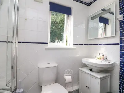 a bathroom with a white toilet and a sink at Little Westwards in Penzance