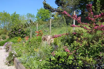 a garden with colorful flowers and a fence at Merrivale Barn in Constantine