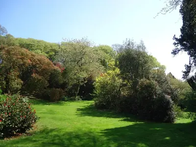 a garden with green grass and trees and bushes at The Patio Flat in Bodmin