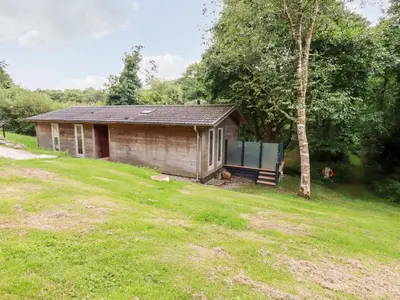 a small shack in a grassy field next to a tree at 6 Water's Edge in Looe