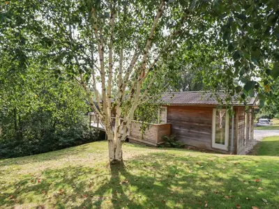 a tree in the yard in front of a house at 2 Water's Edge in Looe