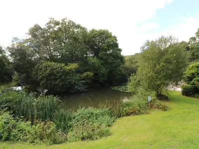a river with trees and grass next to a field at 6 Streamside in Looe