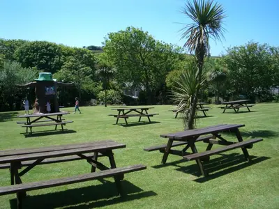 a group of picnic tables in a park with a tree at The Cornishman Inn in Tintagel