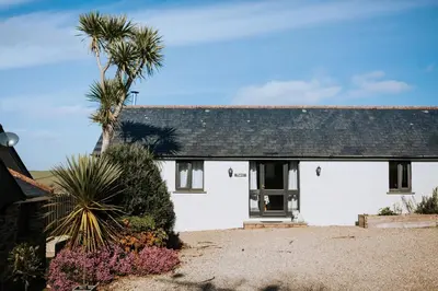 a white house with a palm tree in front of it at The Piggery @ Goonwinnow Farm in Newquay