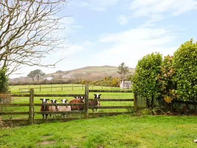 a group of cows in a field behind a fence at Oreo's Cottage in St. Agnes