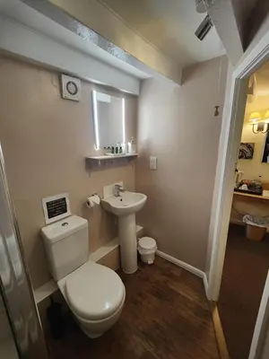 a bathroom with a toilet and a sink at The Mill House in Tintagel