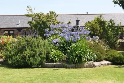 a garden with purple flowers and plants in a yard at The Roundhouse in Redruth